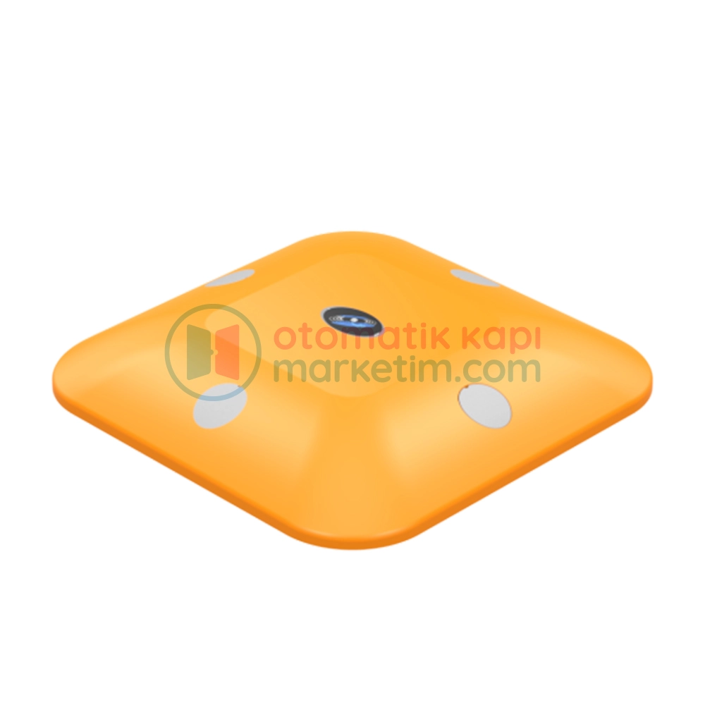 Kontal TOSBA Metal Kütle Dedektörü TS-PS1 (Kablosuz Loop İndüksiyon) Kontrolcü Dahil